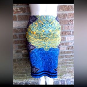 Jealous Tomato Multi color Pencil Skirt Sz L